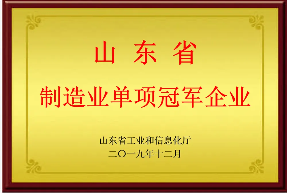 Shandong Provincial Champion Enterprise in Single Manufactur