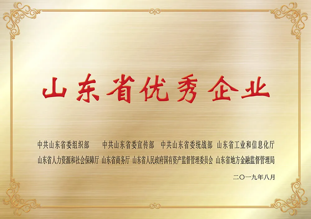 Excellent Enterprise of Shandong