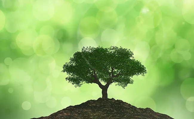 Biodiversity Conservation